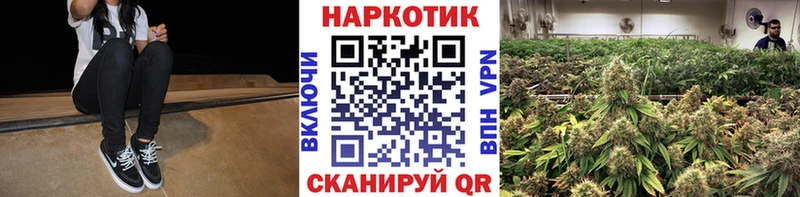 Наркота Муром Каннабис Cocaine Гашиш Кетамин Мефедрон Альфа ПВП