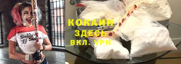 крисы Вязники