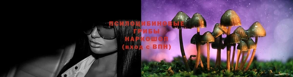гашиш Горнозаводск