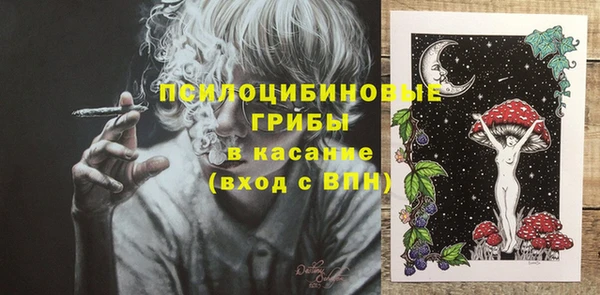 spice Горняк