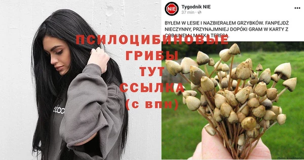 spice Горняк