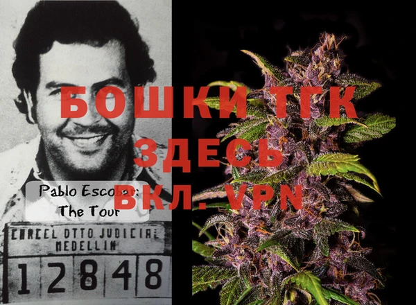 spice Горняк