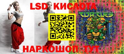 мдпв Донской